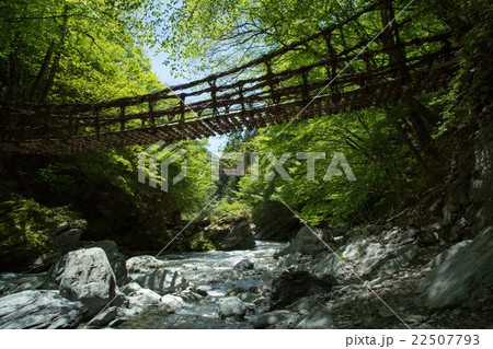 奥祖谷二重かずら橋の女橋と下を流れる清流・祖谷川 奥祖谷二重かずら橋の女橋と下を流れる清流・祖谷川 22507793