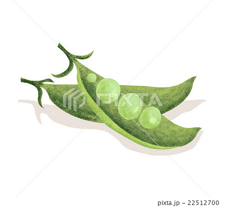 えだまめ 22512700