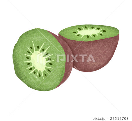 キウイフルーツ 22512703