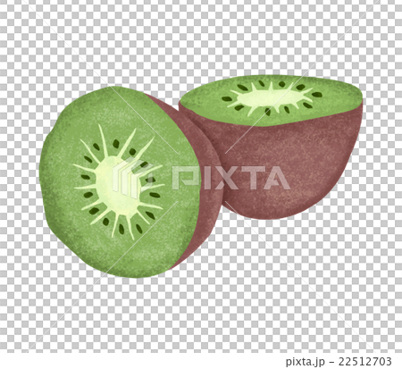 キウイフルーツ 22512703