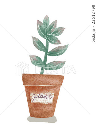 植物と植木鉢のイラスト素材