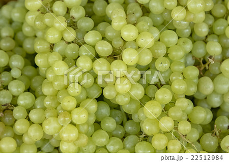 Fresh green wine grapes background Fresh green wine grapes background 22512984