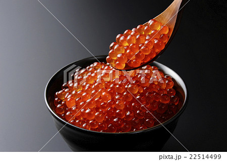 いくら イクラ いくら丼 魚卵 しゃもじの写真素材