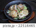 マライカバブ 22516465