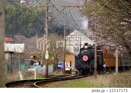 大井川鉄道　蒸気機関車 22517173