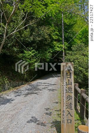 春日山遊歩道入口 22517427