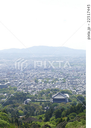 若草山から見る東大寺 若草山から見る東大寺 22517445