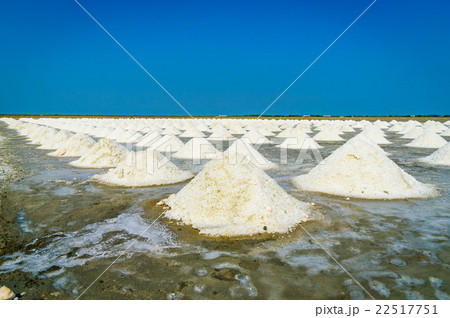 Sea salt fields with piled salt in Thailand 22517751