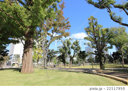 中野四季の森公園 22517950