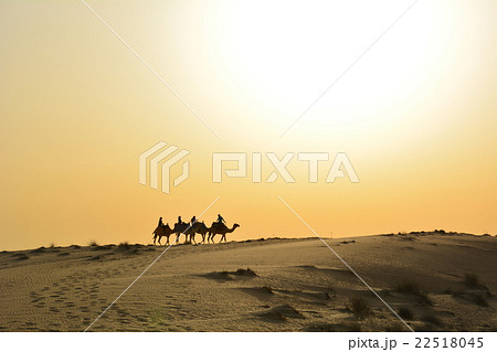 ドバイ　砂漠　ラクダ 22518045