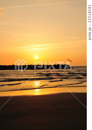 夕陽とカモメ 22518281