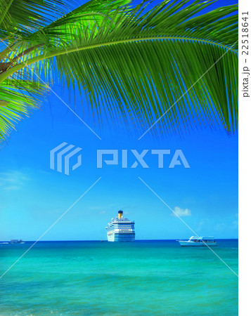 tropical beach in Dominican republic Caribbean sea 22518641