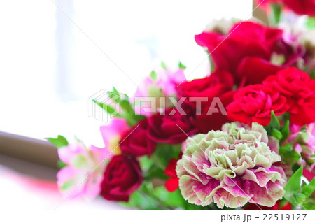 カーネーションの花束 カーネーションの花束 22519127