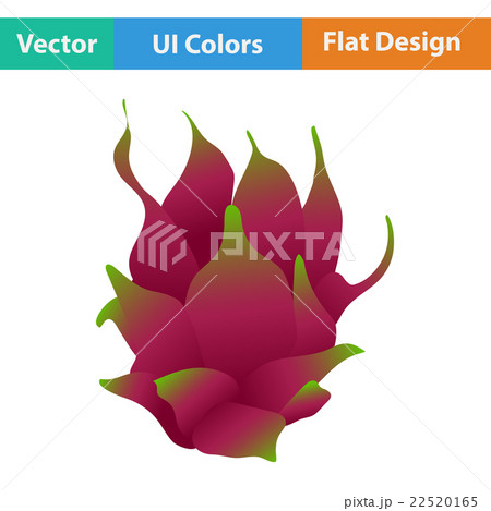 Flat design icon of Dragon fruit Flat design icon of Dragon fruit 22520165