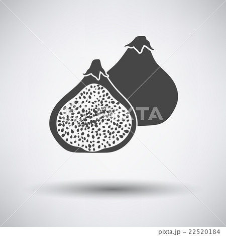 Fig fruit icon on gray background 22520184