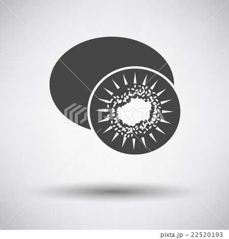 Kiwi icon on gray background 22520193