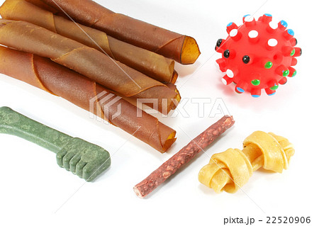 Dog Playthings Dog Playthings 22520906