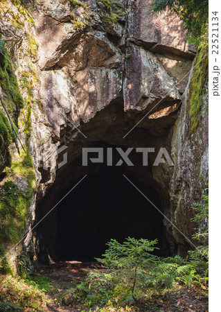 Entrance to dark cave in the rock, vertical 22521134