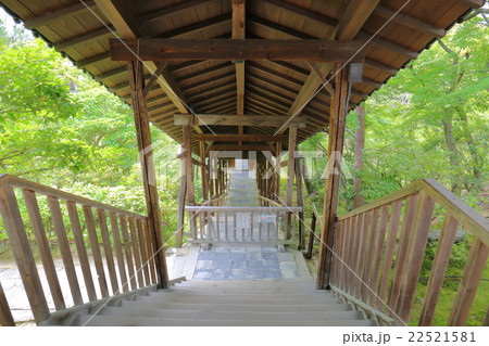 京都　高台寺　臥龍廊 22521581