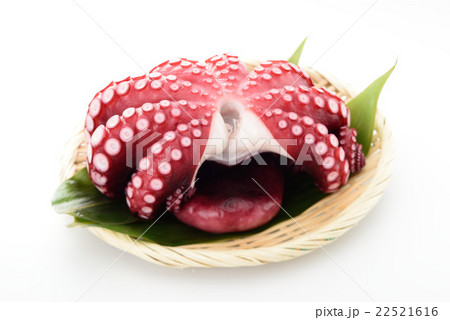 茹でたタコ 茹でたタコ 22521616