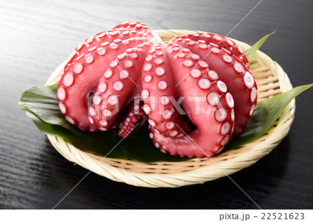 茹でたタコ 茹でたタコ 22521623