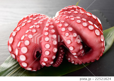 茹でたタコ 22521624