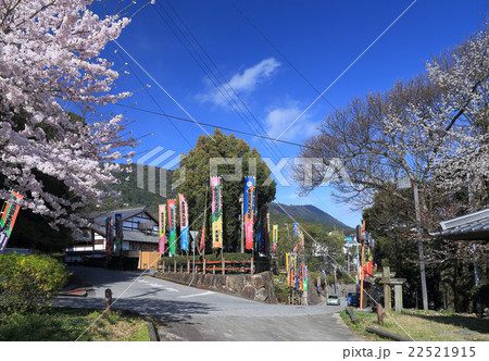 春、のぼりが並ぶ「金毘羅大芝居」開催前の金丸座周辺 春、のぼりが並ぶ「金毘羅大芝居」開催前の金丸座周辺 22521915