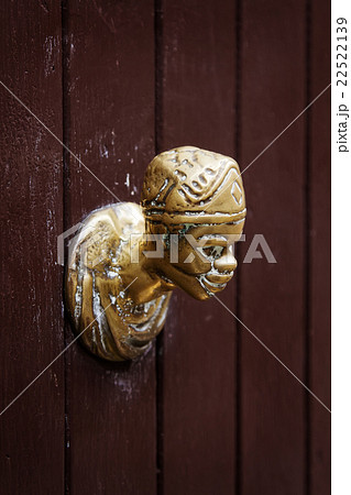 Antique door knocker on a wooden door in Venice 22522139