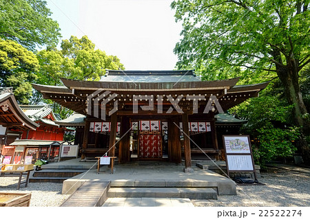 川越氷川神社　拝殿　　 22522274