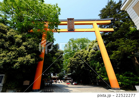 川越氷川神社　大鳥居　 22522277
