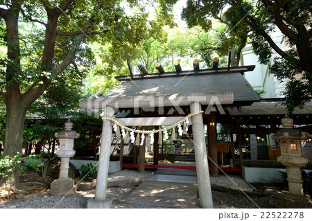 川越氷川神社　護国神社 22522278