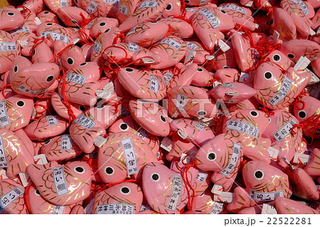 川越氷川神社 おみくじ（あい鯛） 22522281