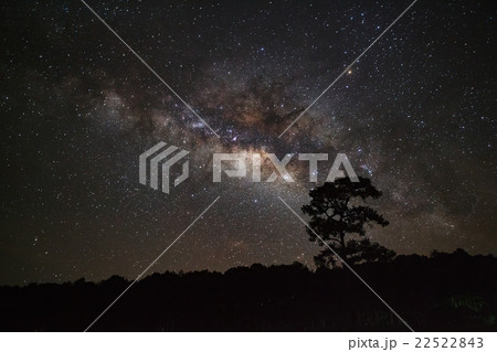Silhouette of Tree and Milky Way. 22522843
