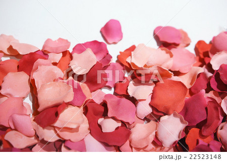 造花のバラ 22523148