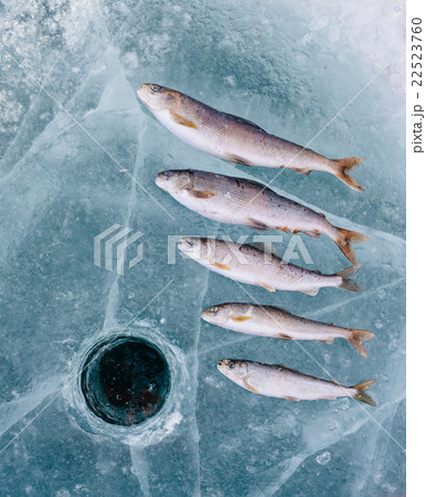 Winter fishing on the lake. 22523760