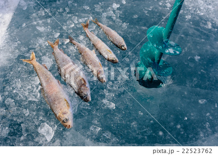 Winter fishing on the lake. Winter fishing on the lake. 22523762