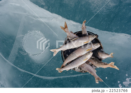 Winter fishing on the lake. 22523766