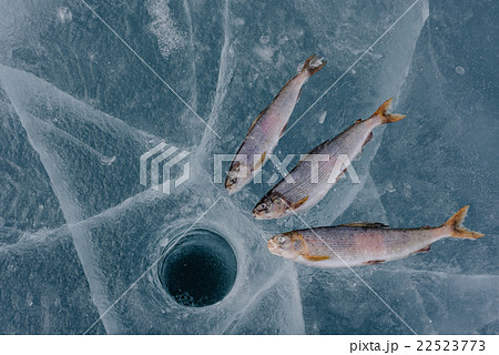 Winter fishing on the lake. Winter fishing on the lake. 22523773