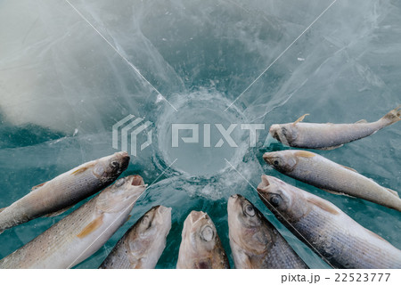 Winter fishing on the lake. Winter fishing on the lake. 22523777