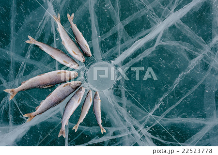 Winter fishing on the lake. 22523778