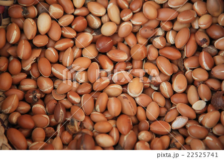 Argan Fruit 22525741