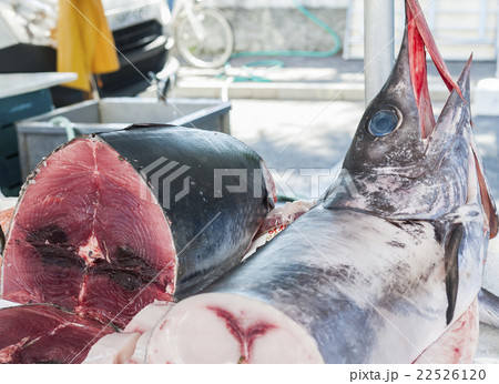 Swordfish for sale 22526120