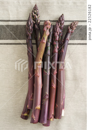 Fresh purple asparagus 22526182
