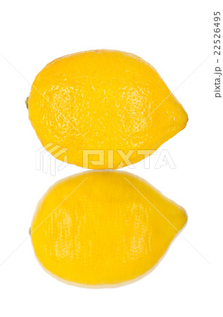 yellow lemon yellow lemon 22526495