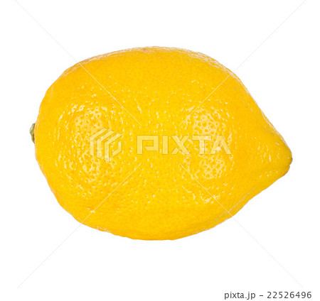 yellow lemon 22526496
