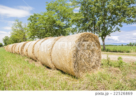 Hay bales in row. 22526869
