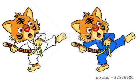 空手キッズ 22526900