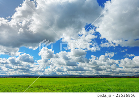 field 22526956