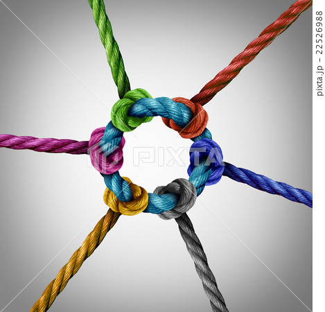 Central Network Connection 22526988