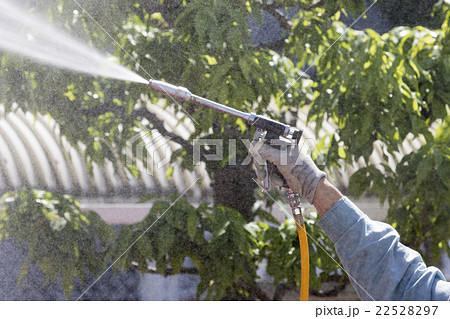 薬剤散布作業 薬剤散布作業 22528297